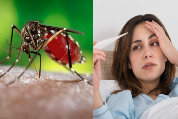 Dengue Fever Treatment in Kharadi | Dr. Girish Kirad