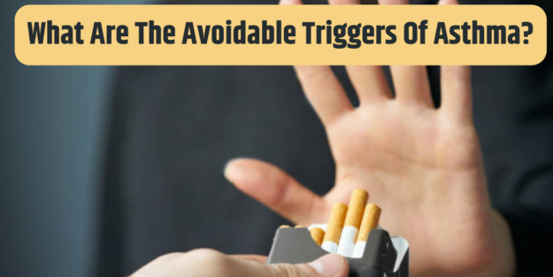 What Are the Avoidable Triggers of Asthma