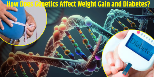 How Does Genetics Affect Weight Gain and Diabetes How Does Genetics Affect Weight Gain and Diabetes?