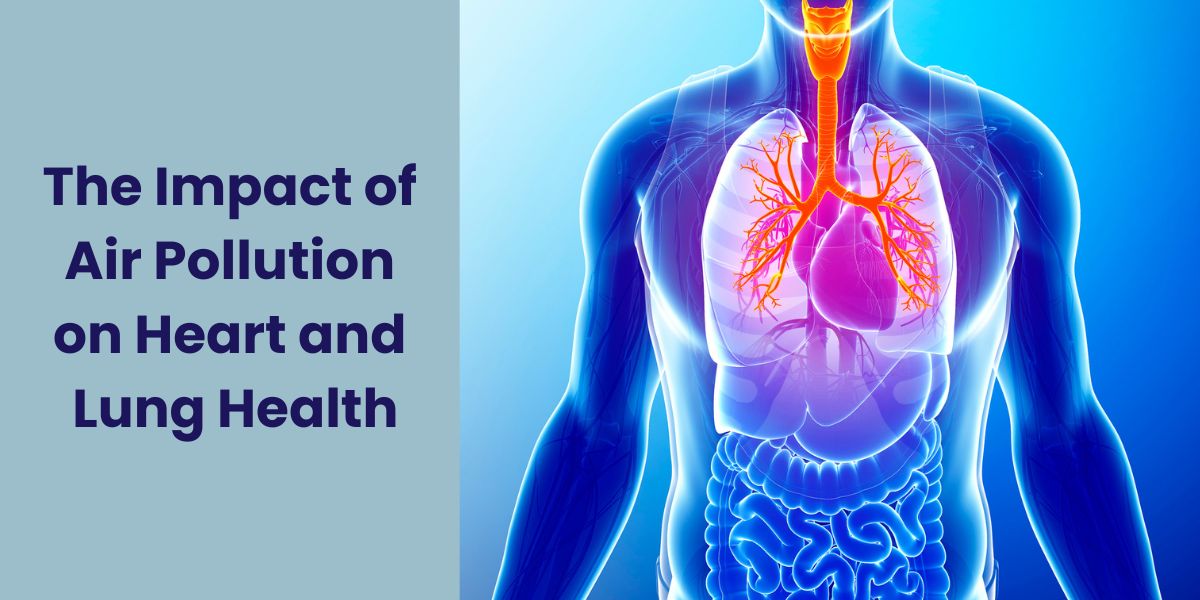 The Impact of Air Pollution on Heart and Lung Health